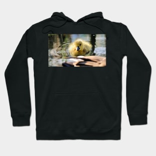 Smiling baby duck Hoodie